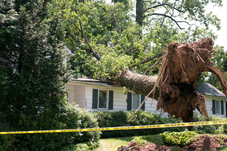 24 7 storm damage restoration Panama City FL