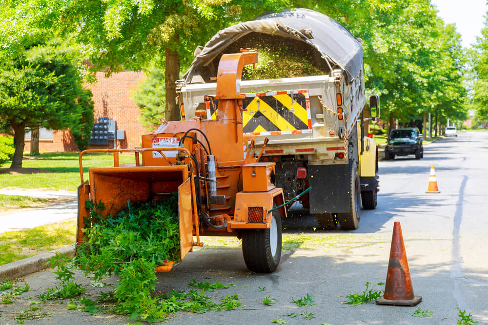 Commercial tree care services Panama City FL