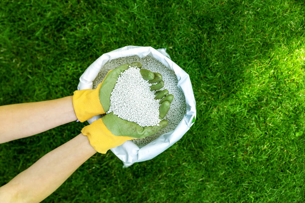 Cost of Fertilization Service in Panama City FL