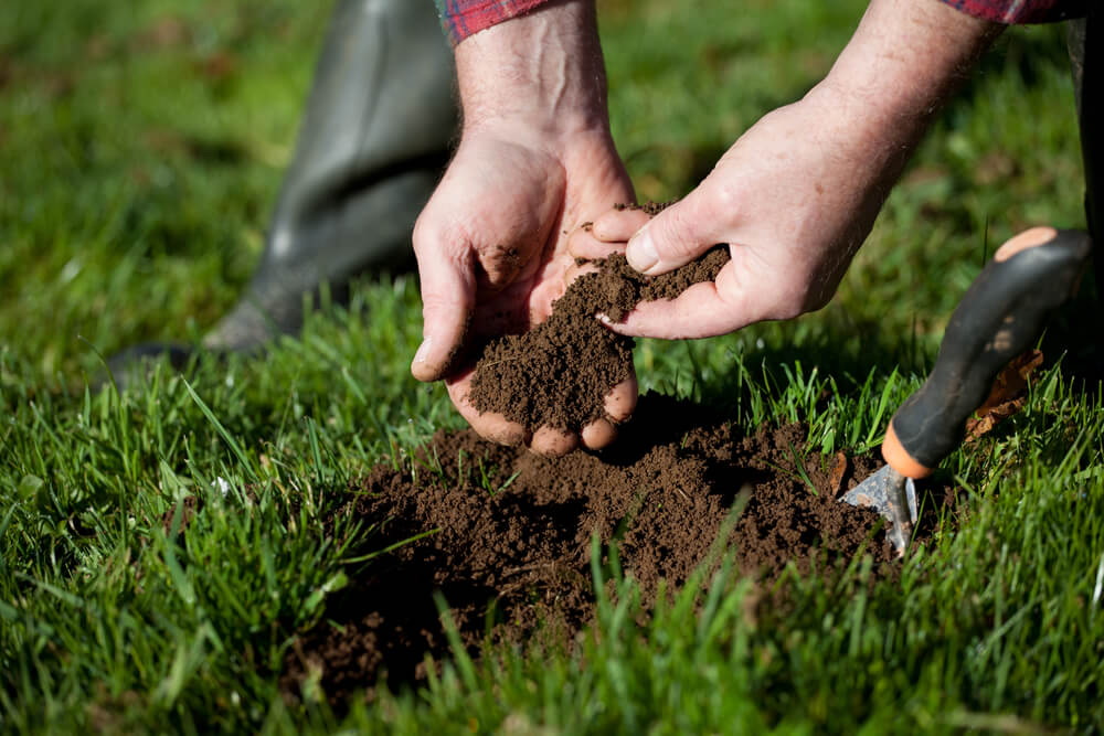 Cost of Soil & Tissue Testing Service in Panama City FL