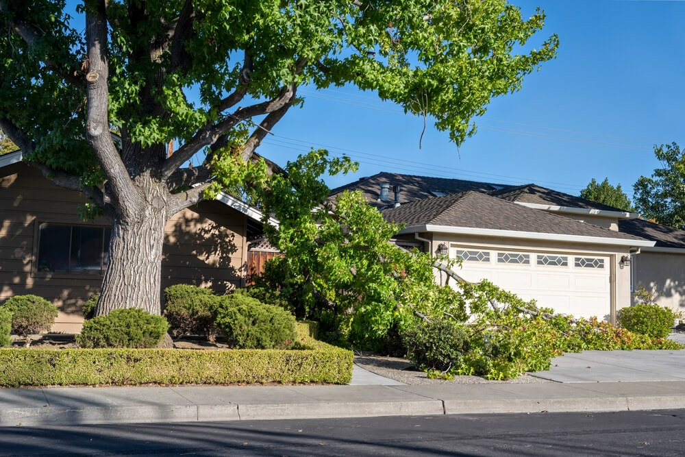 Efficient storm damage recovery Panama City FL