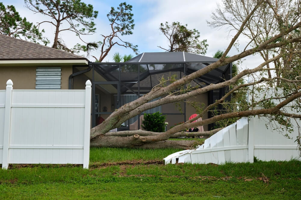 Emergency Tree Service nearby Panama City FL