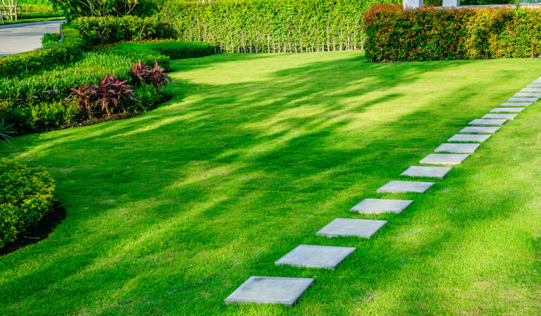 Lawn Care Services Panama City FL