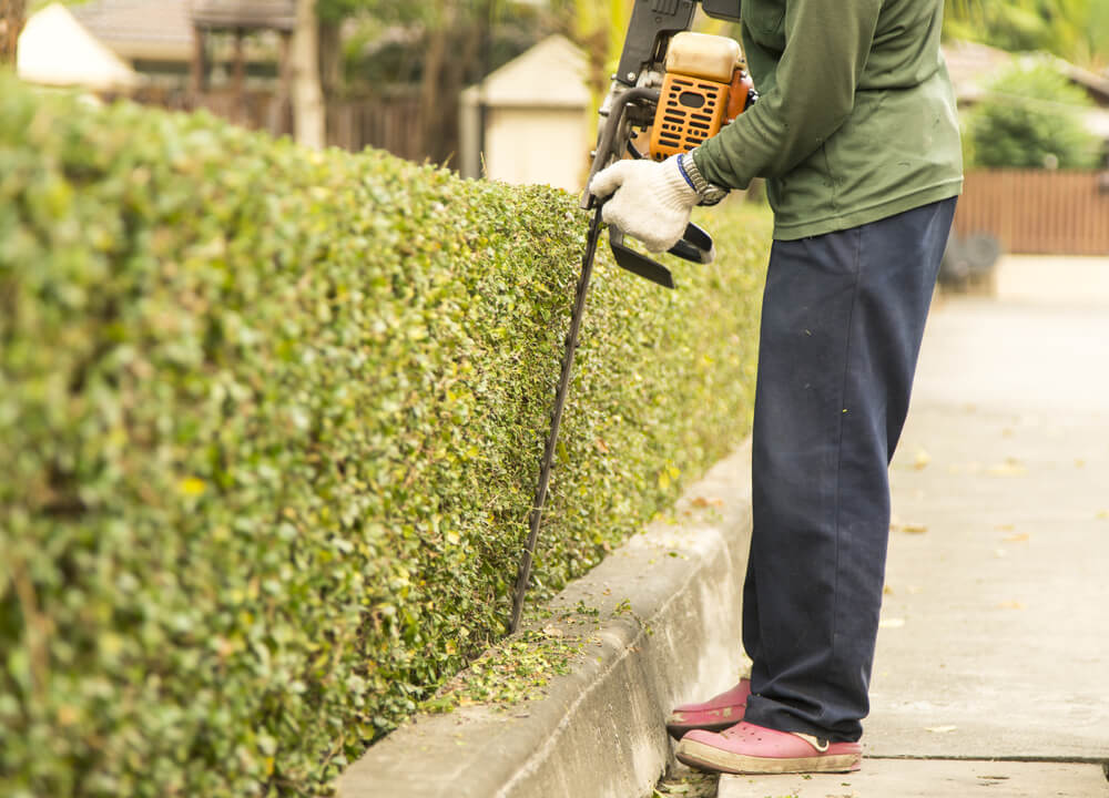 Lawn Care Services near Panama City FL