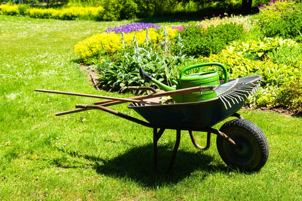 Lawn maintenance services Panama City FL