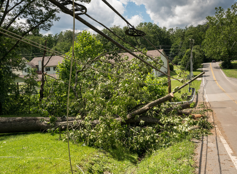 Professional storm damage restoration Panama City FL