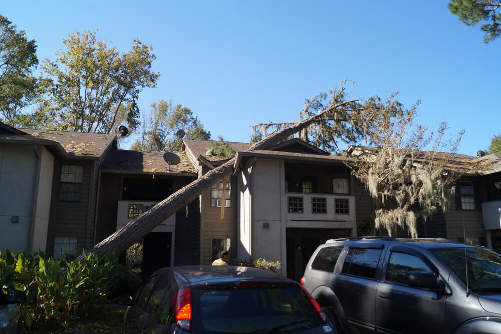 Reliable storm damage restoration Panama City FL