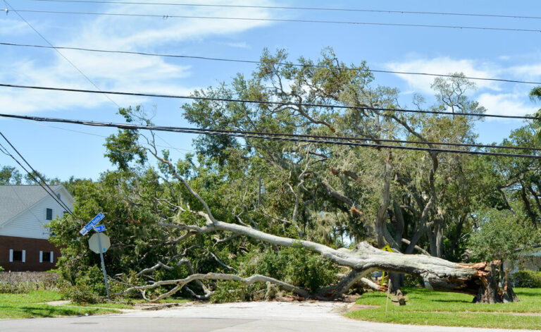 Storm Damage Restoration Panama City FL