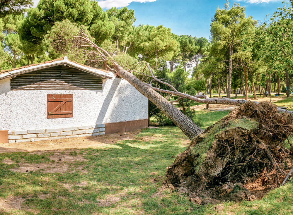 Storm damage assessment Panama City FL