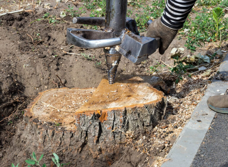 Stump Removal Panama City FL