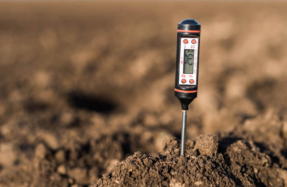 What is Soil & Tissue Testing Panama City FL